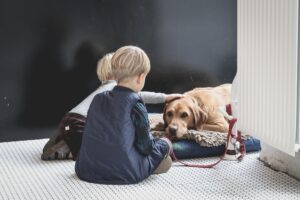 The Puppy Path to Success: Unleashing the Power of Socialization