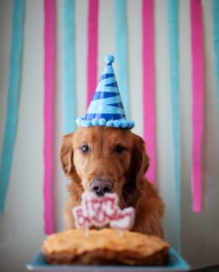 Creative Ideas for Throwing an Unforgettable Dog Birthday Party