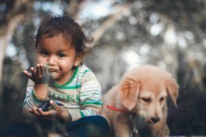 Therapy Dogs Benefit Childrens Well-being
