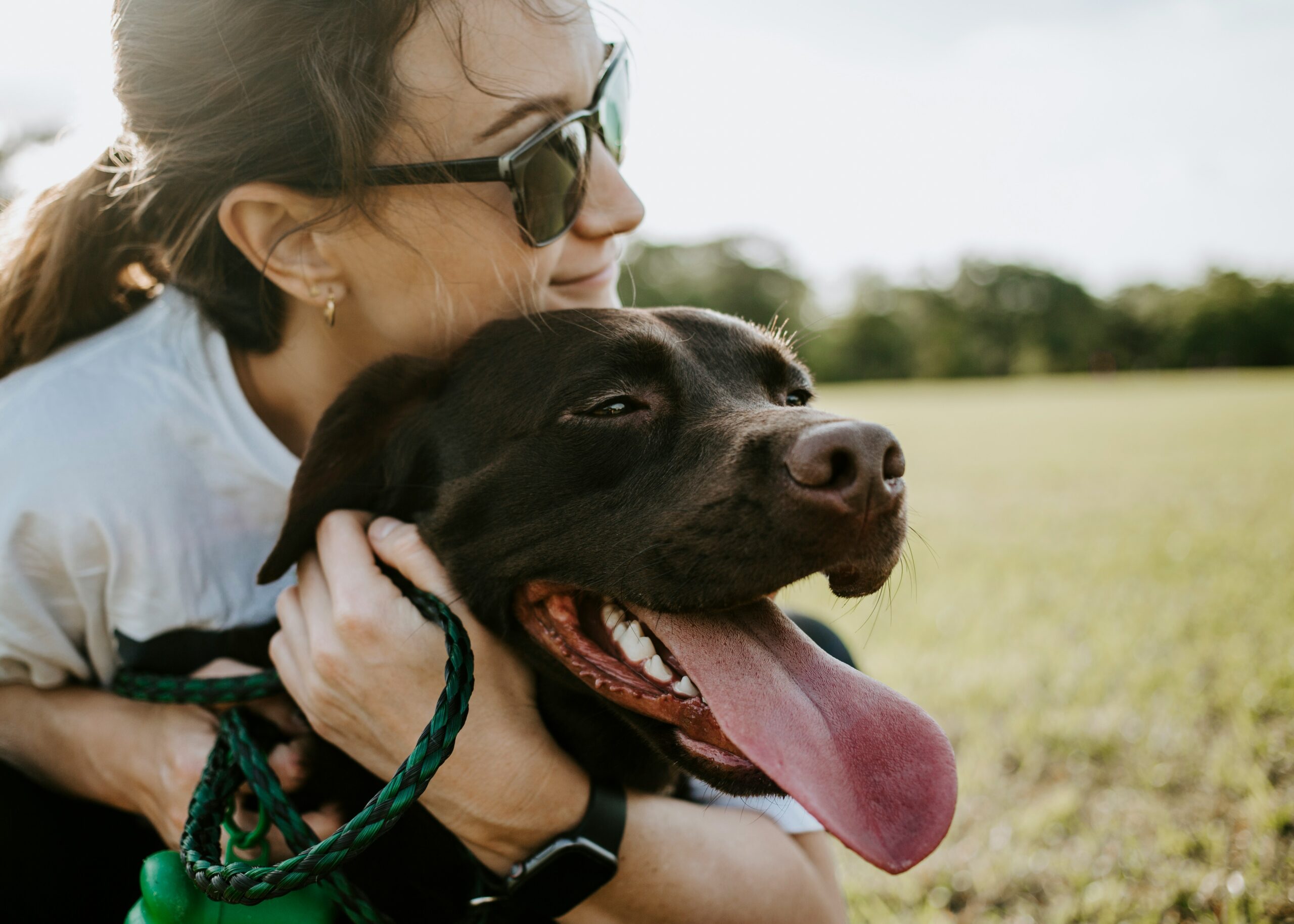 The Healing Power of Paws: How Owning a Dog Boosts Your Physical and Mental Well-being