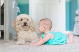 Nurturing a Lifelong Friendship: Building Strong Bonds Between Dogs and Babies